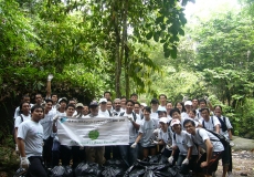 2010-Clean-Waterfall-2